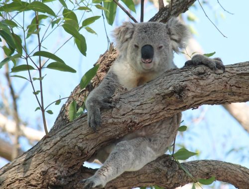 Fb img 1760356556959