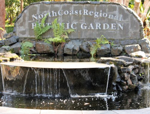 Sandrabeal botanicgardens oct2022 02