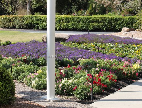 Sandrabeal botanicgardens oct2022 21