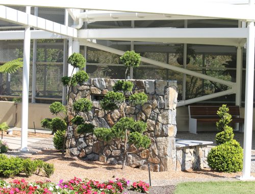 Sandrabeal botanicgardens oct2022 25