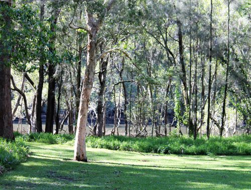 Sandrabeal botanicgardens oct2022 29