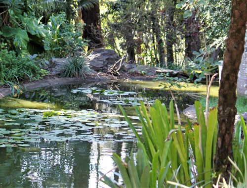 Sandrabeal botanicgardens oct2022 36